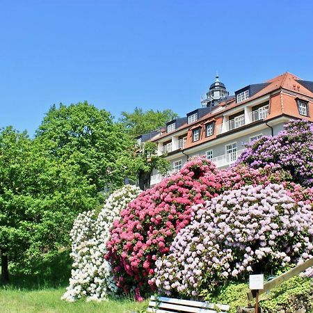 Ferienwohnung Natur und Kunst Dresden Exterior foto