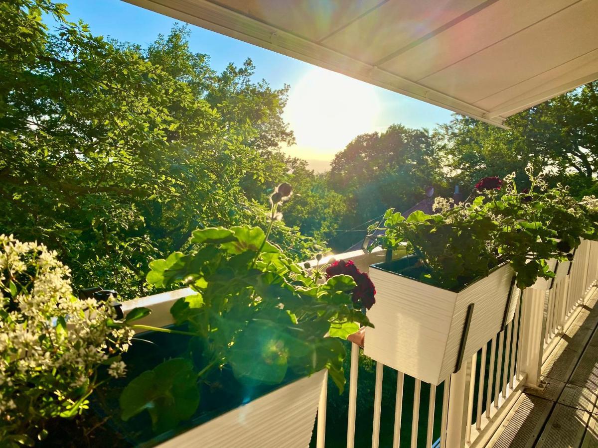 Ferienwohnung Natur und Kunst Dresden Exterior foto