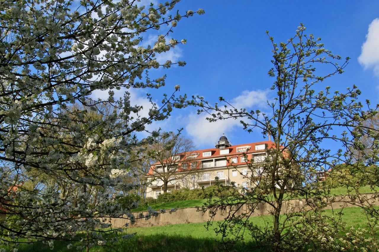 Ferienwohnung Natur und Kunst Dresden Exterior foto