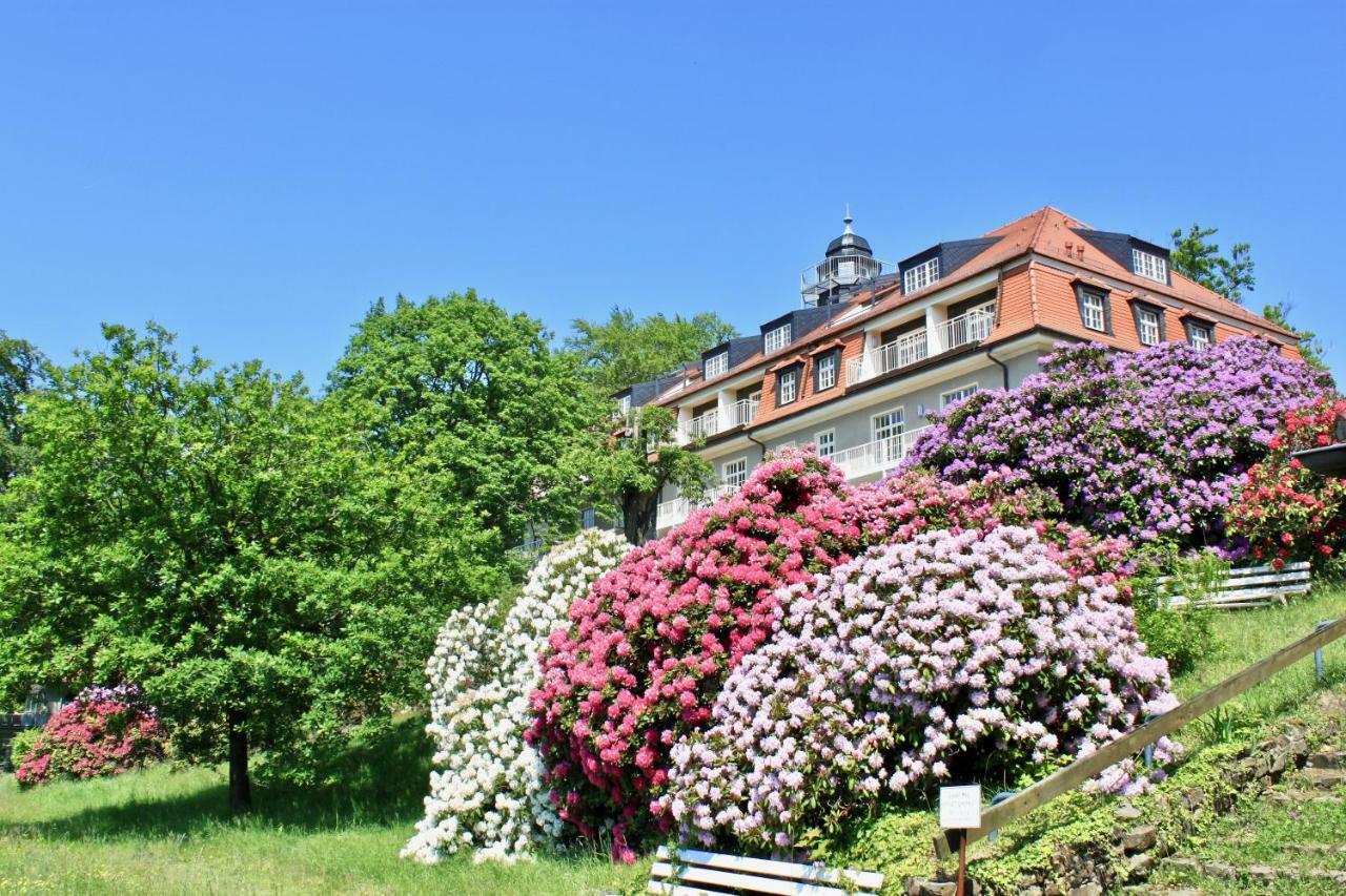 Ferienwohnung Natur und Kunst Dresden Exterior foto
