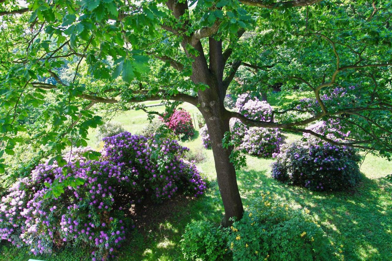 Ferienwohnung Natur und Kunst Dresden Exterior foto